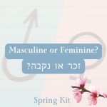 Test you Hebrew – Male of Female – #1